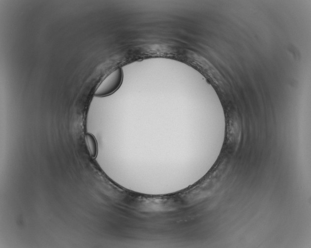 X0000112070473200908251046
