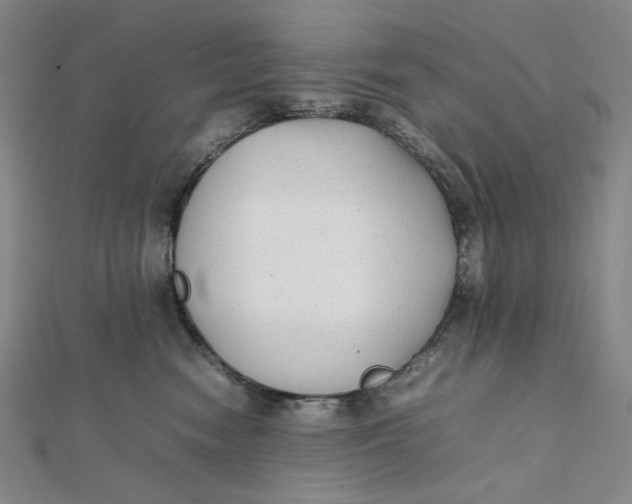 X0000112070474200908251046
