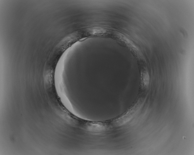 X0000112070475200908251046