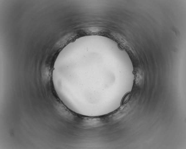 X0000112070476200908251046