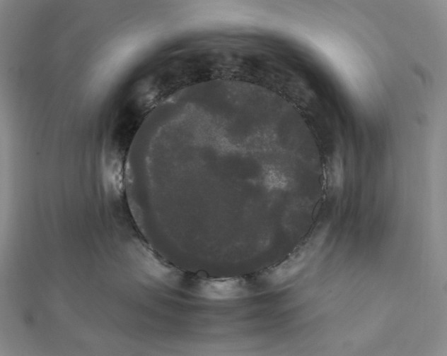 X0000112070479200908251047