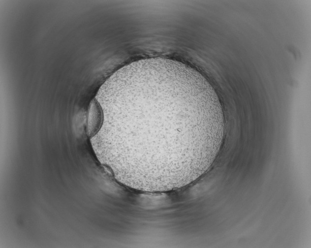 X0000112070480200908251047