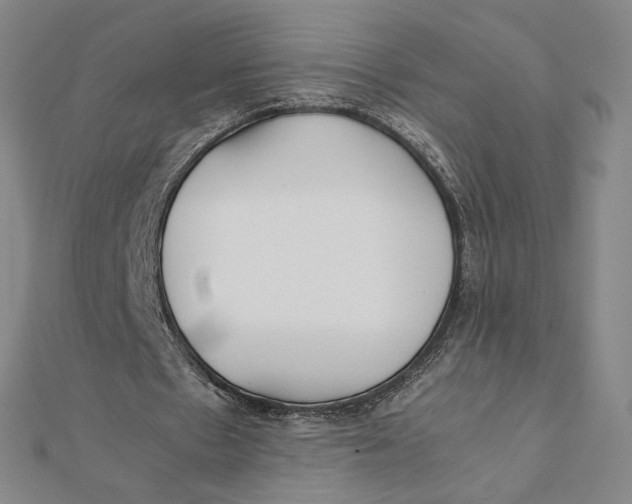 X0000112070481200908251046