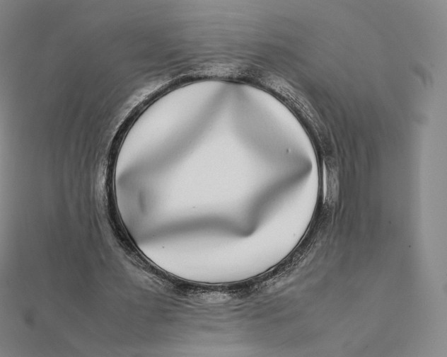 X0000112070483200908251046