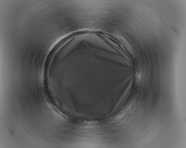 X0000112070484200908251046