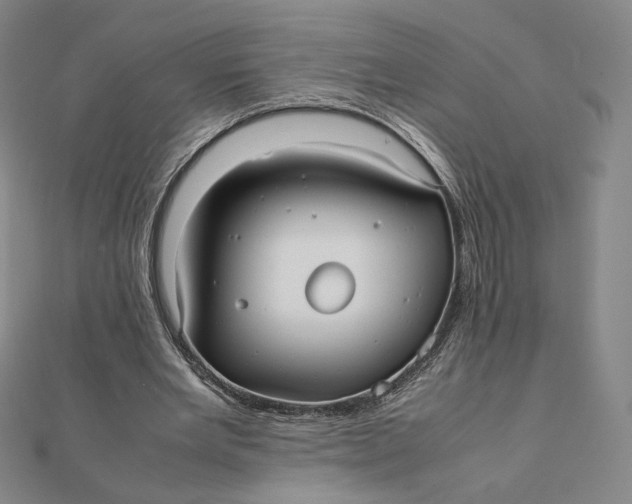 X0000112070485200908251046