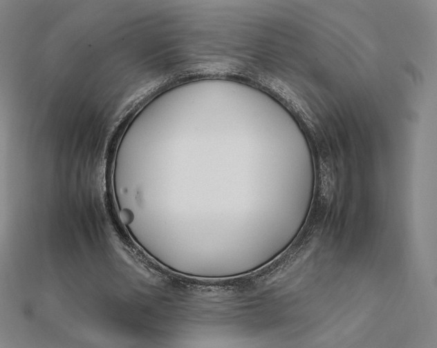 X0000112070486200908251046