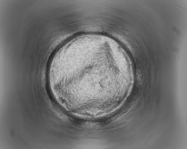 X0000112070487200908251046