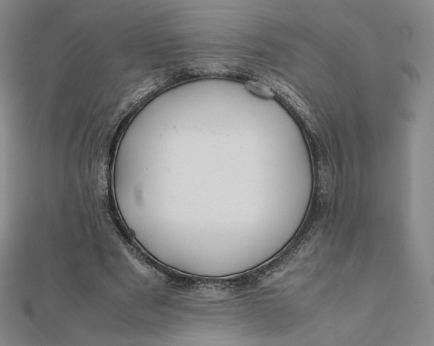 X0000112070489200908251046