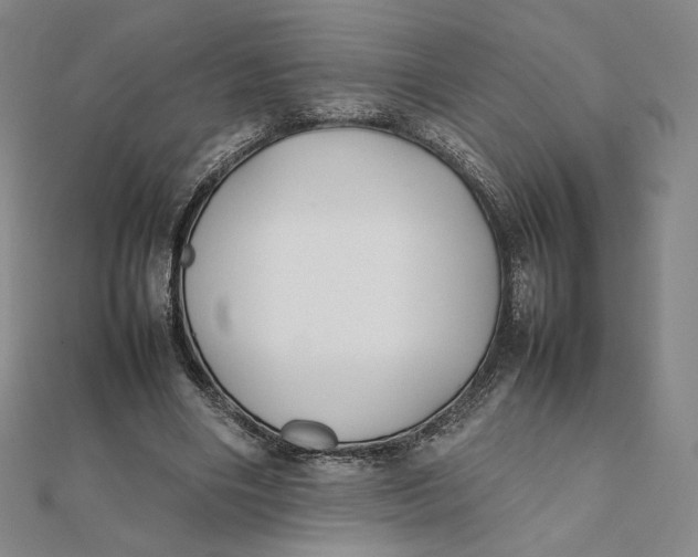 X0000112070490200908251046