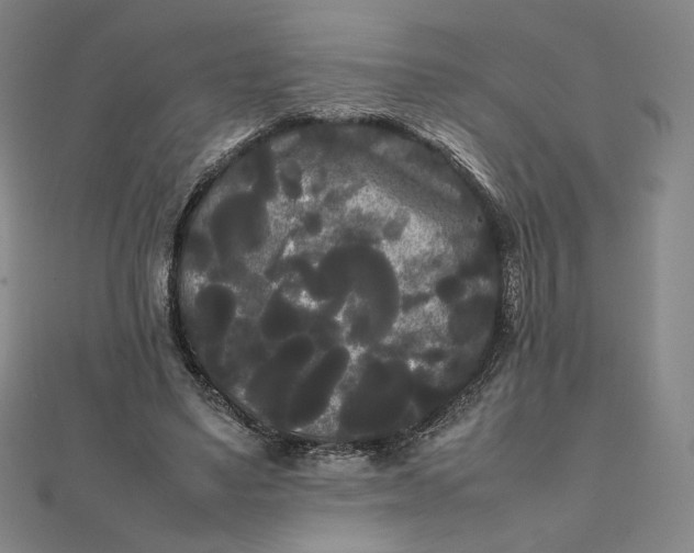 X0000112070491200908251046