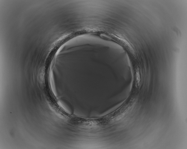 X0000112070492200908251046