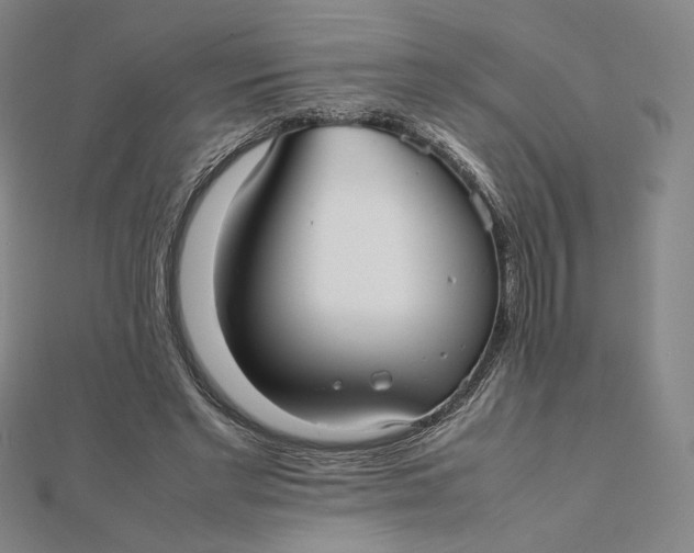 X0000112070493200908251045