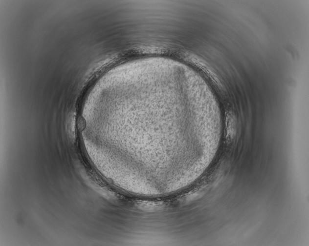 X0000112070494200908251045