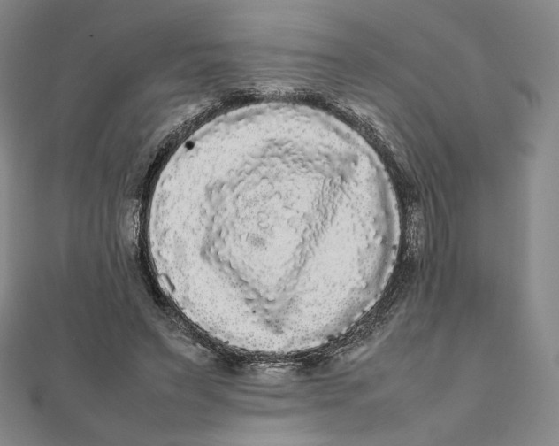 X0000112070495200908251045
