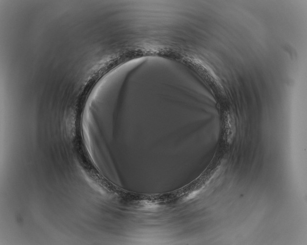 X0000112070496200908251045