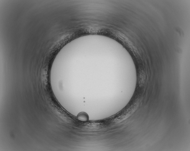 X0000112070497200908251045