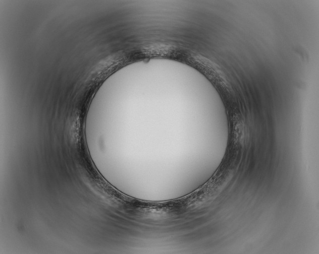 X0000112070498200908251045