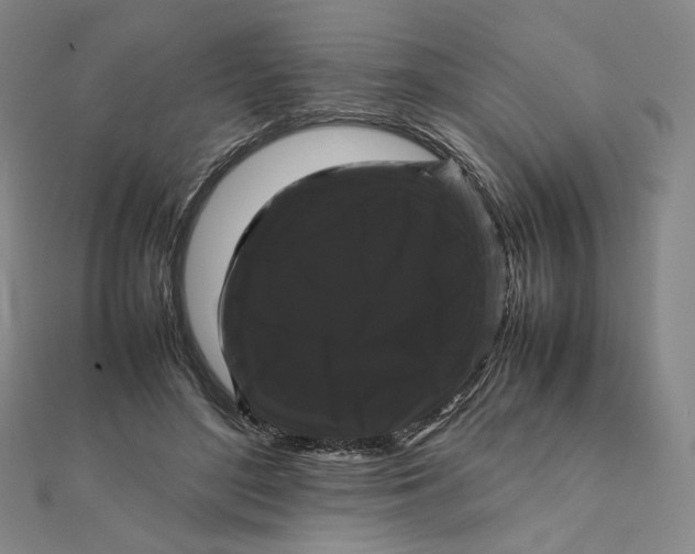 X0000112070500200908251045