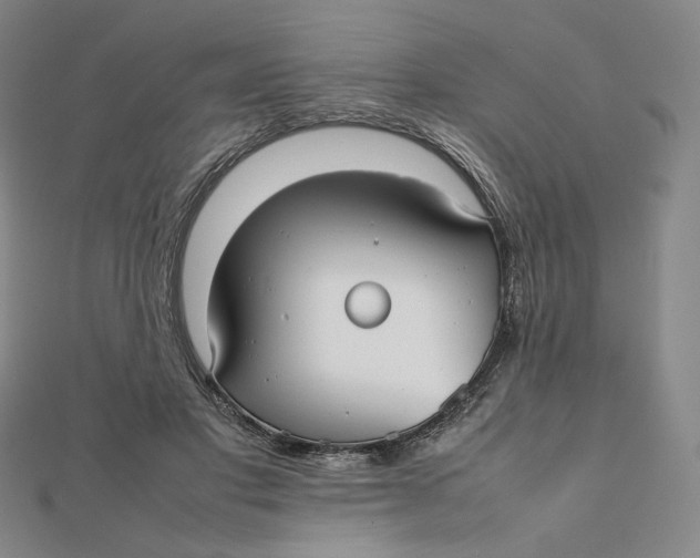 X0000112070501200908251045