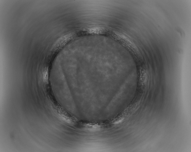 X0000112070502200908251045