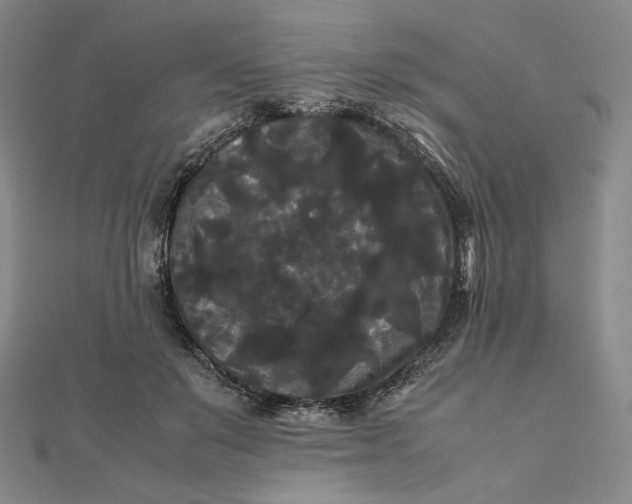 X0000112070503200908251045