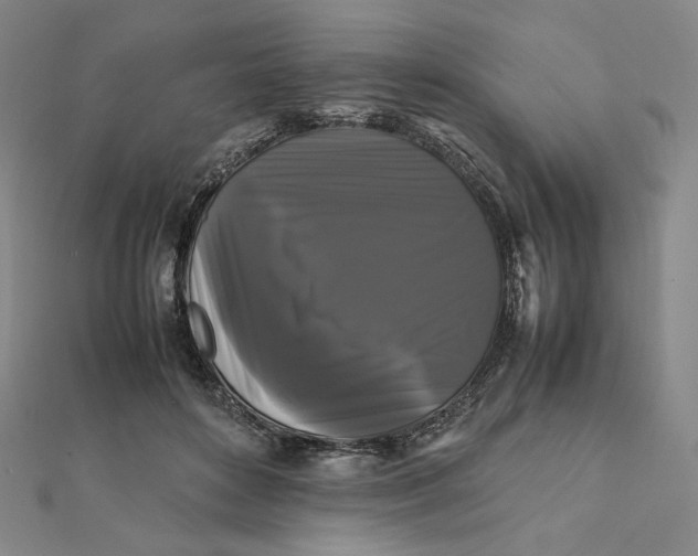X0000112070504200908251045