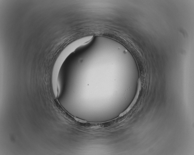 X0000112070505200908251045