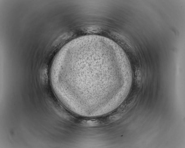 X0000112070506200908251045