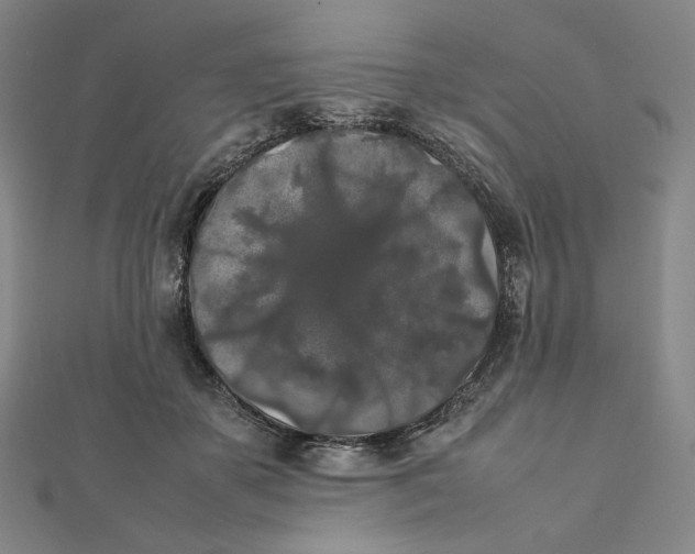 X0000112070507200908251045