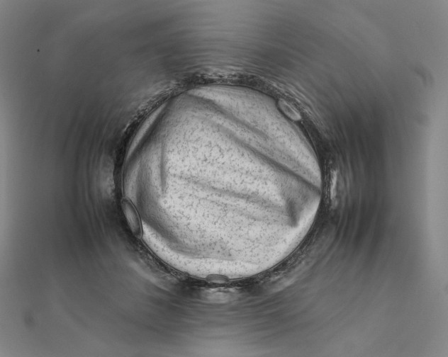 X0000112070508200908251045