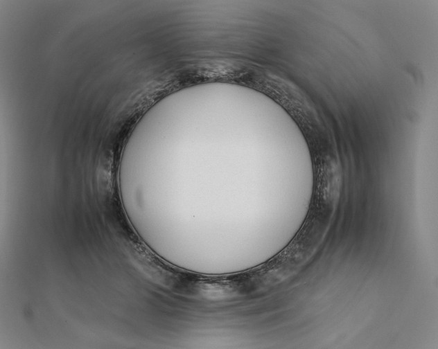 X0000112070510200908251045
