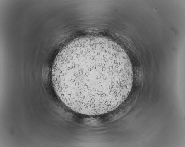 X0000112070511200908251045