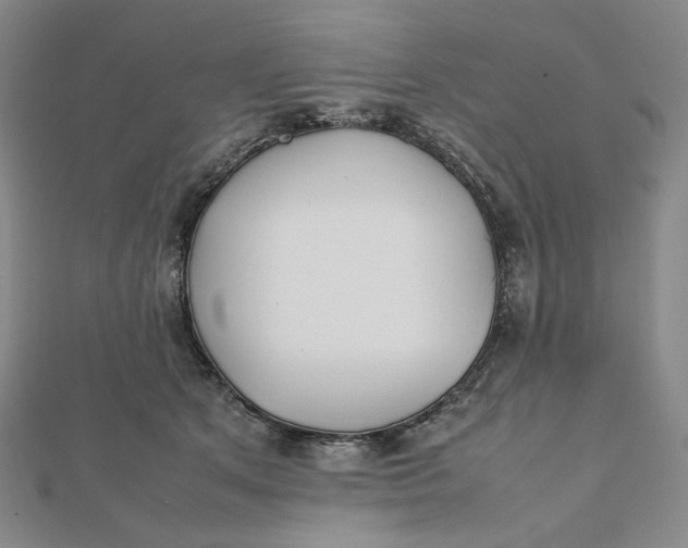 X0000112070513200908251045