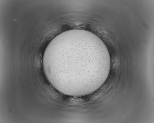 X0000112070515200908251045