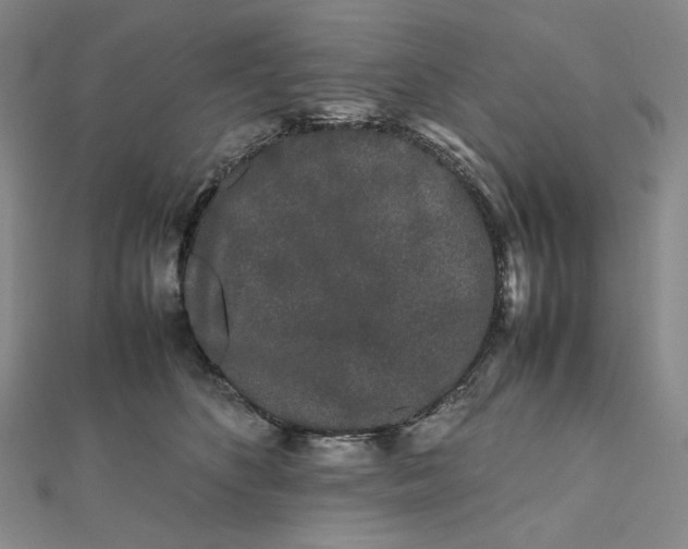 X0000112070516200908251045