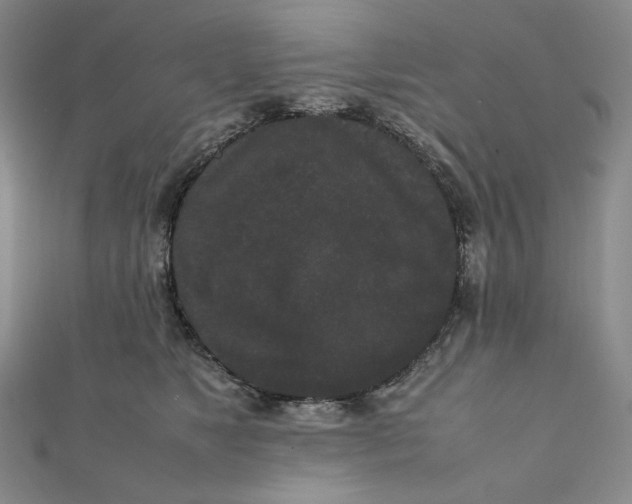 X0000112070517200908251045