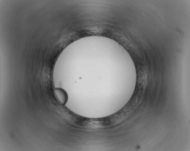 X0000112070518200908251045