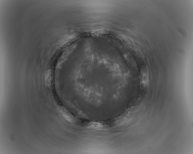 X0000112070519200908251045