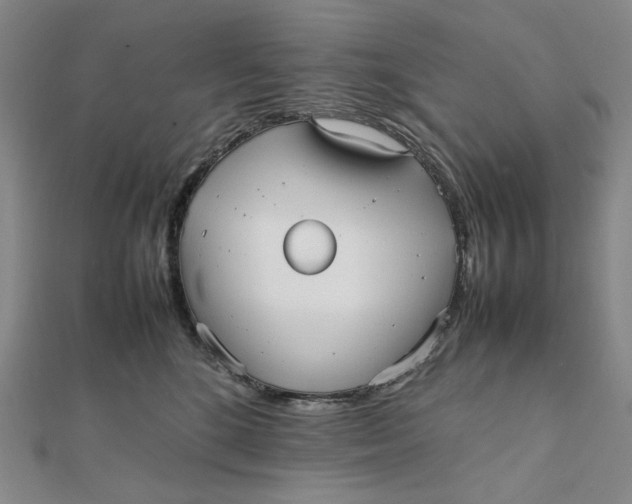 X0000112070520200908251045