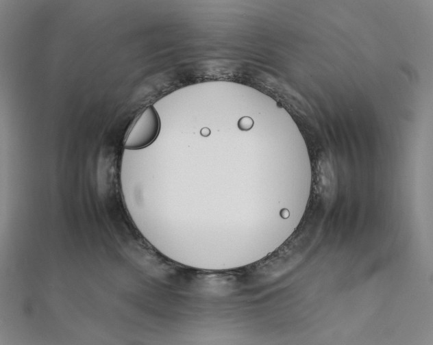 X0000112070522200908251045