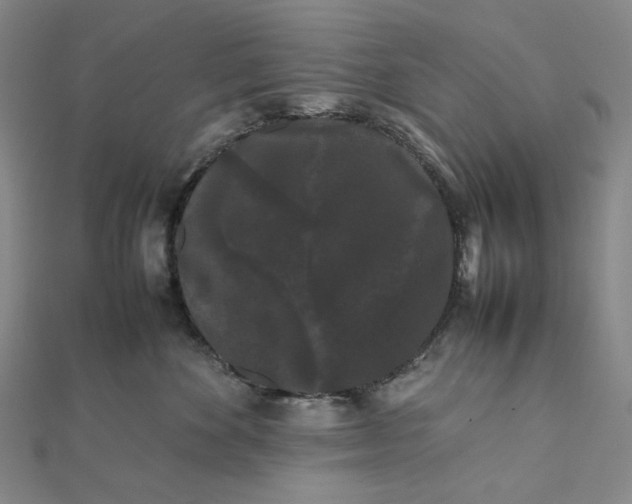 X0000112070524200908251045