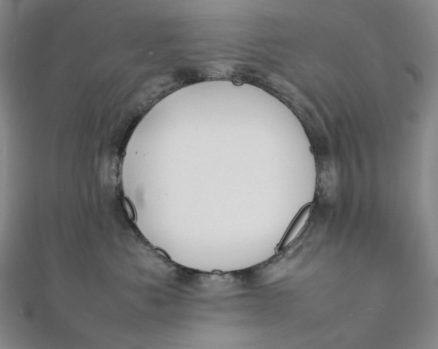 X0000112070525200908251045