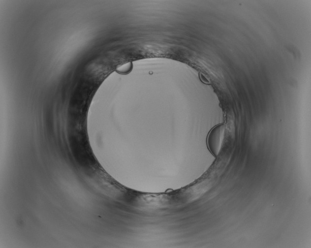 X0000112070526200908251045