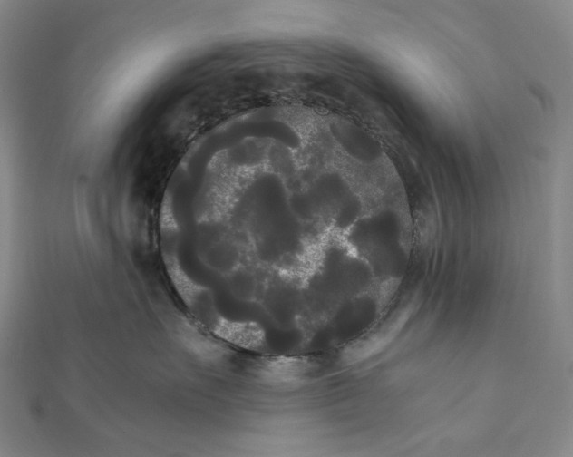 X0000112070527200908251045