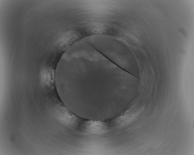 X0000112070528200908251045