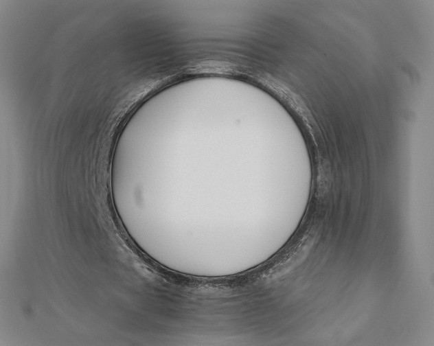 X0000112070529200908251044