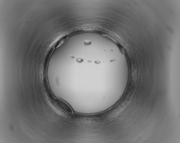 X0000112070530200908251044
