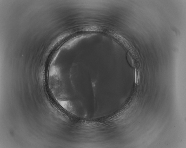 X0000112070531200908251044