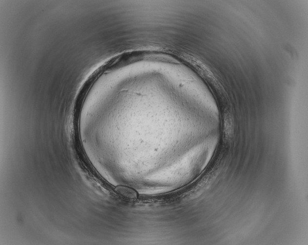 X0000112070532200908251044